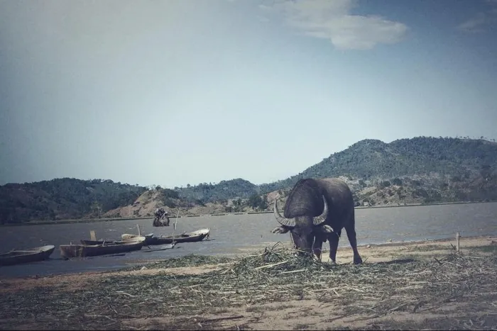 Có một hồ Lắk mộng mơ giữa đất rừng tây nguyên
