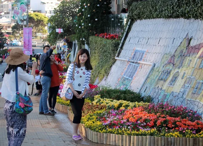 Đà Lạt hoa tràn xuống phố chờ khai hội Đà Lạt hoa tràn xuống phố chờ khai hội