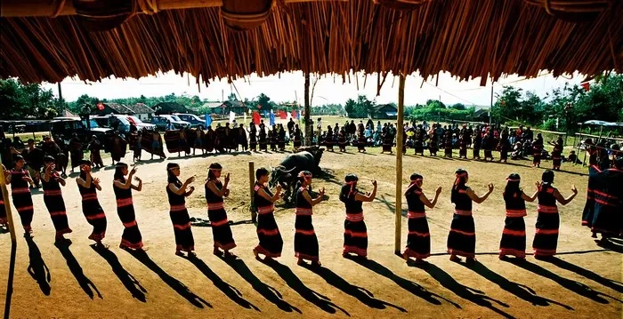 Đến tây nguyên thực hiện giấc mơ cưỡi voi thuở bé