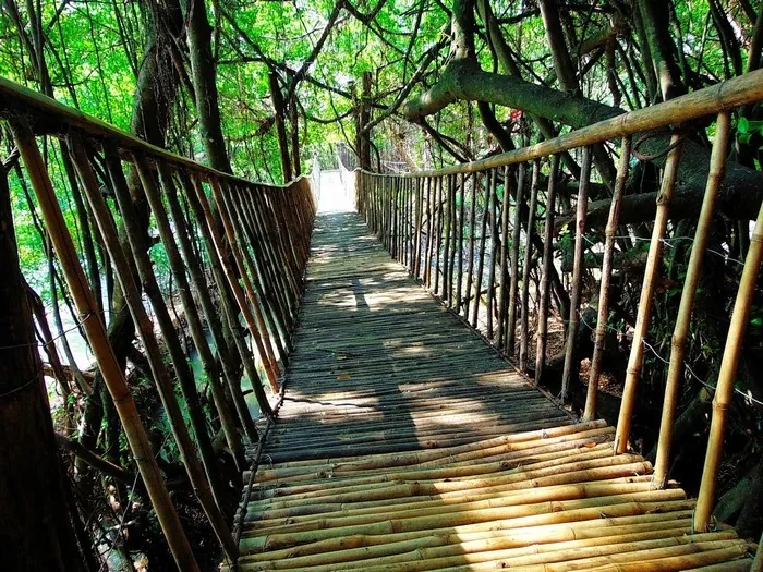 Đến tây nguyên thực hiện giấc mơ cưỡi voi thuở bé