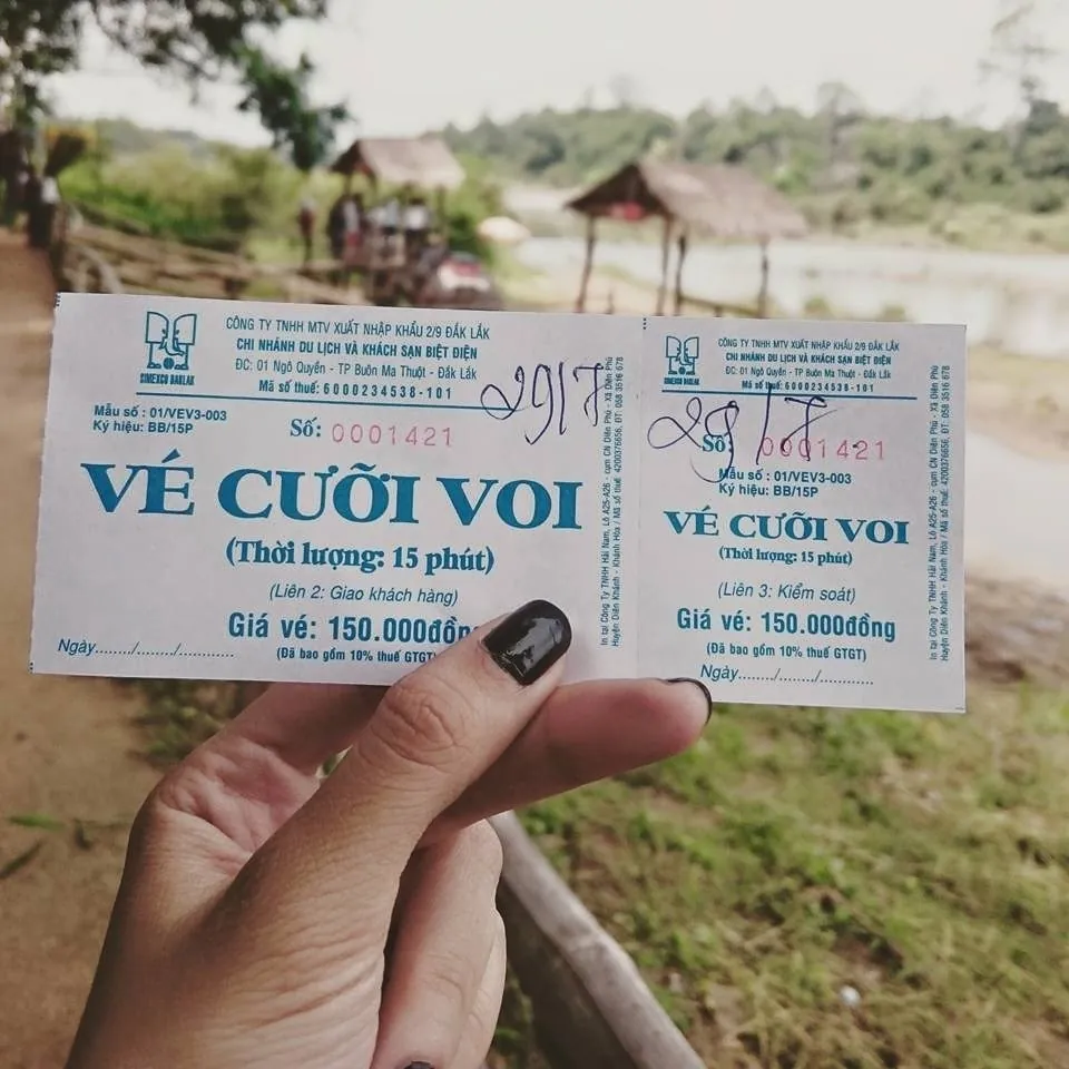 Đến tây nguyên thực hiện giấc mơ cưỡi voi thuở bé