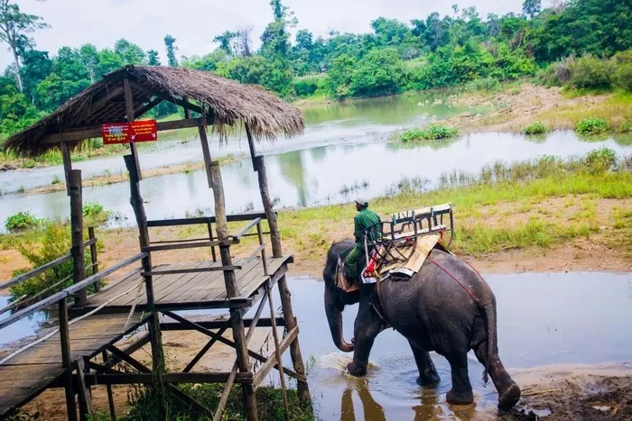 Đến tây nguyên thực hiện giấc mơ cưỡi voi thuở bé