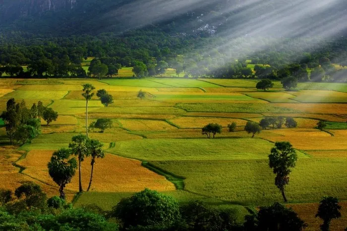 Du lịch An Giang - ngắm những ô màu trên cánh đồng Tà Pạ Du lịch An Giang ngắm những ô màu trên cánh đồng Tà Pạ