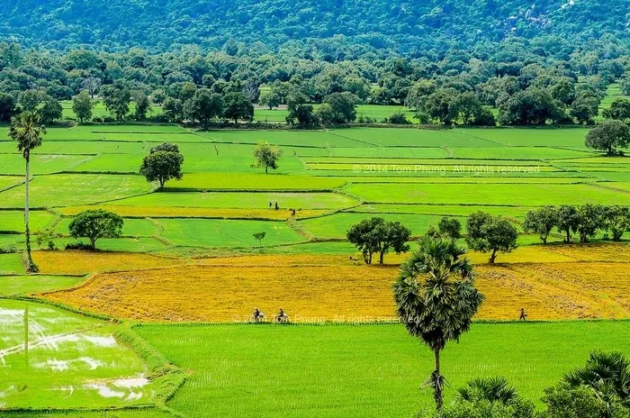 Du lịch An Giang - ngắm những ô màu trên cánh đồng Tà Pạ Du lịch An Giang ngắm những ô màu trên cánh đồng Tà Pạ