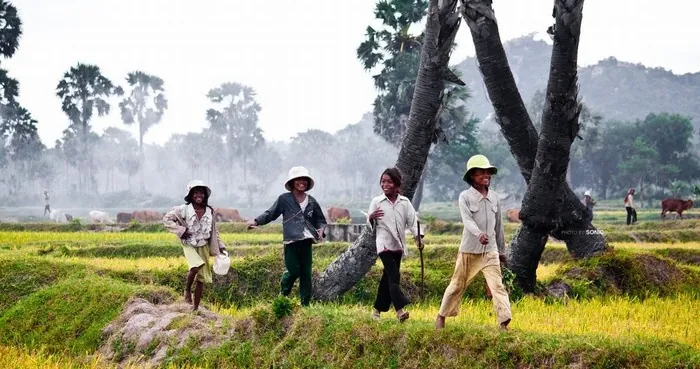 Du lịch An Giang - ngắm những ô màu trên cánh đồng Tà Pạ Du lịch An Giang ngắm những ô màu trên cánh đồng Tà Pạ