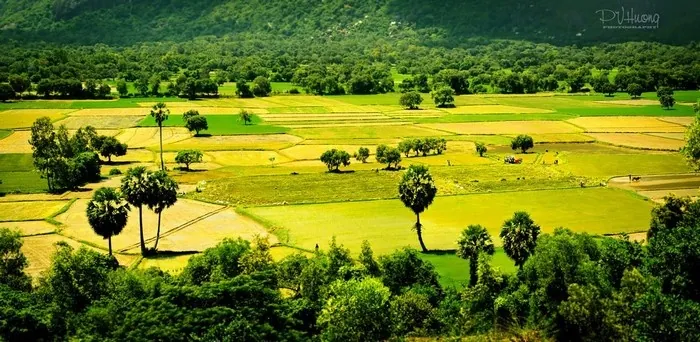 Du lịch An Giang - ngắm những ô màu trên cánh đồng Tà Pạ Du lịch An Giang ngắm những ô màu trên cánh đồng Tà Pạ