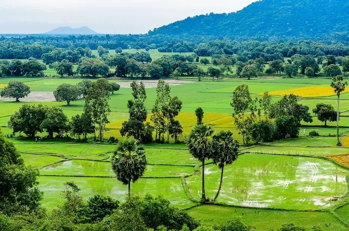 Du lịch An Giang - ngắm những ô màu trên cánh đồng Tà Pạ Du lịch An Giang ngắm những ô màu trên cánh đồng Tà Pạ