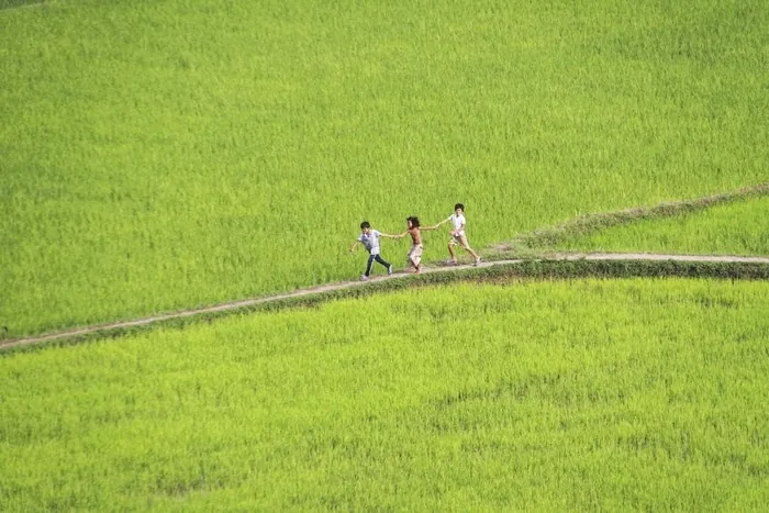 Du lịch An Giang - ngắm những ô màu trên cánh đồng Tà Pạ Du lịch An Giang ngắm những ô màu trên cánh đồng Tà Pạ