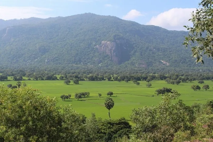 Du lịch An Giang - ngắm những ô màu trên cánh đồng Tà Pạ Du lịch An Giang ngắm những ô màu trên cánh đồng Tà Pạ