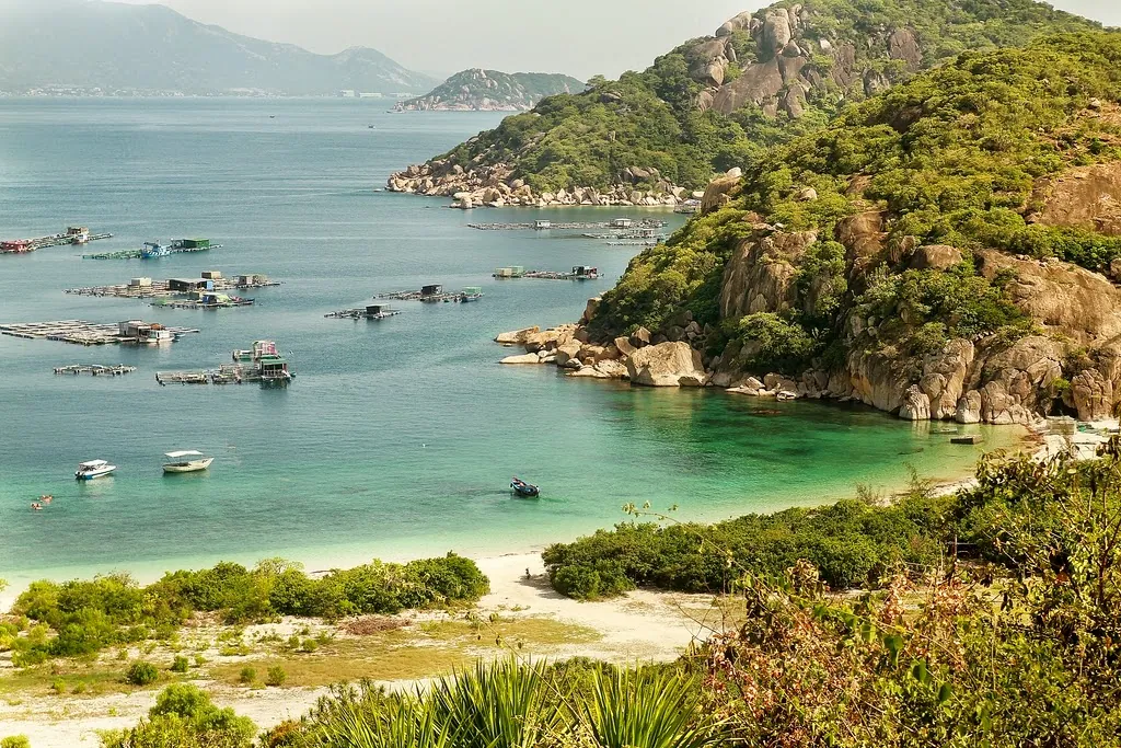 Du lịch Nha Trang: Đi tour tết giá rẻ hơn cả ngày thường