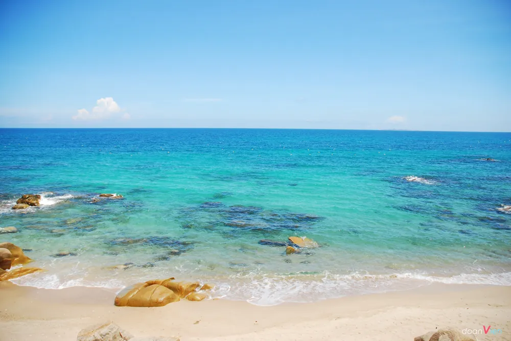 Du lịch Nha Trang: Đi tour tết giá rẻ hơn cả ngày thường