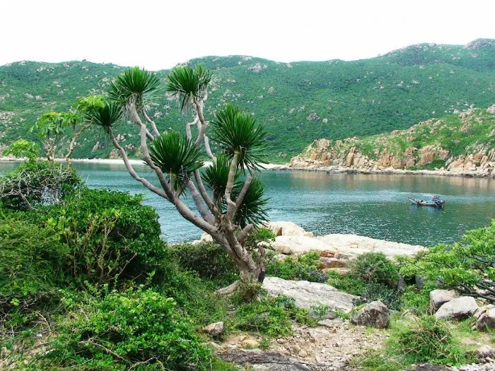 Du lịch Ninh Thuận có gì mà thu hút đến thế? Du lịch Ninh Thuận có gì mà thu hút đến thế