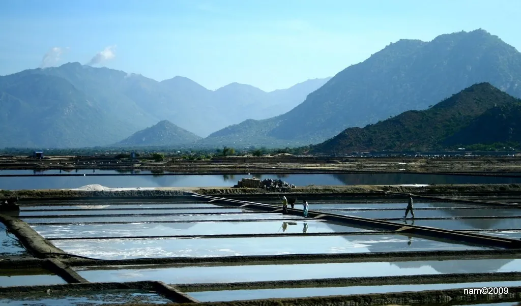 Du lịch Ninh Thuận có gì mà thu hút đến thế? Du lịch Ninh Thuận có gì mà thu hút đến thế
