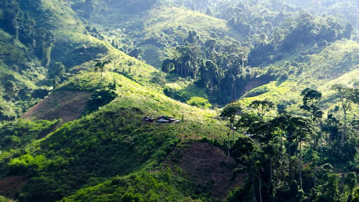 Du lịch Quảng Nam ngắm sông Tranh ​kỳ vĩ