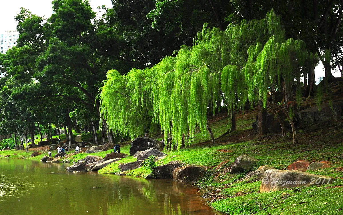Du lịch Singapore và những trải nghiệm thú vị có thể bạn chưa biết Du lịch Singapore và những trải nghiệm thú vị có thể bạn chưa biết