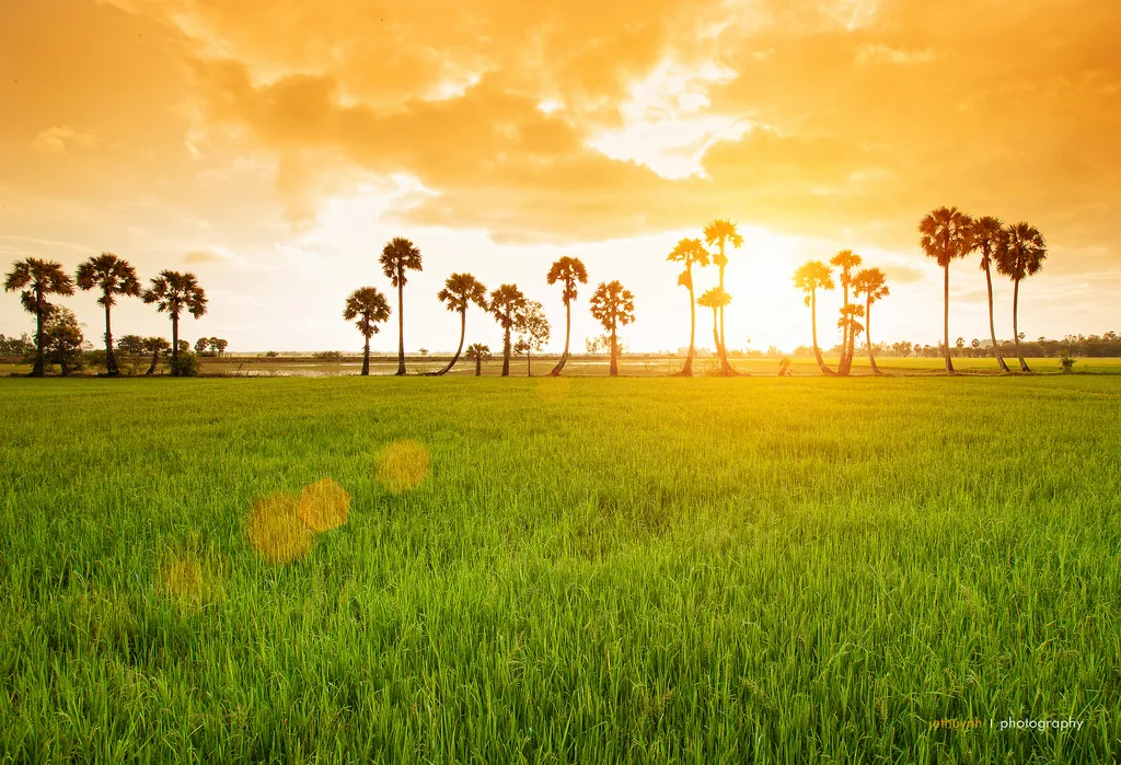 Du lịch Tết 2016, đi đâu trong 3 ngày nghỉ ở miền Nam Du lịch Tết 2016 Đi đâu trong 3 ngày nghỉ ở miền Nam