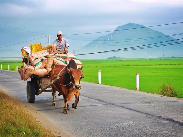 Du lịch Tết 2016, đi đâu trong 3 ngày nghỉ ở miền Trung Du lịch Tết 2016 Đi đâu trong 3 ngày nghỉ ở miền Trung