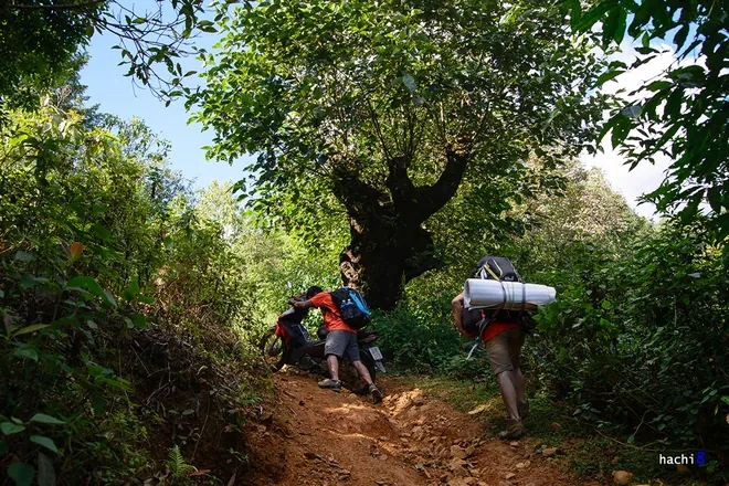 Hành trình chinh phục Tả Liên Sơn hùng vỹ Hành trình chinh phục Tả Liên Sơn hùng vỹ