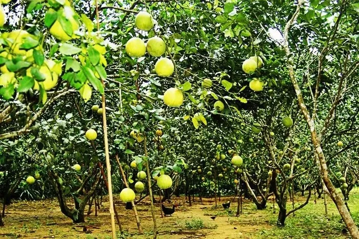 Hành trình khám phá bức tranh sơn thủy Hà Tĩnh Hành trình khám phá bức tranh sơn thủy Hà Tĩnh