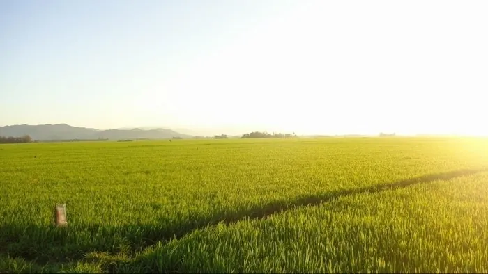 HÀNH TRÌNH TRỐN THÀNH PHỐ ĐẾN ĐẤT PHÚ YÊN ĐẸP NHƯ CỔ TÍCH