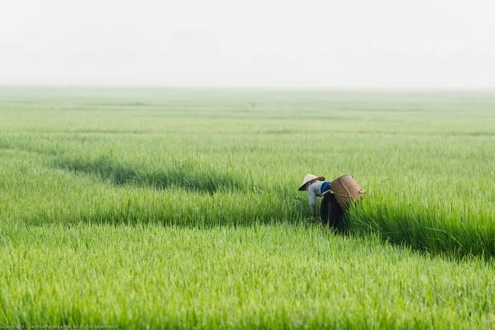 HÀNH TRÌNH TRỐN THÀNH PHỐ ĐẾN ĐẤT PHÚ YÊN ĐẸP NHƯ CỔ TÍCH