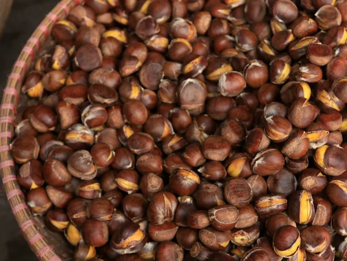 Hạt dẻ Trùng Khánh Món quà đặc sản ở Cao Bằng