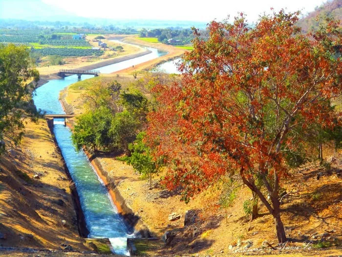 Hồ sông Quao Thắng cảnh đẹp mê hồn ở đất Phan Thiết