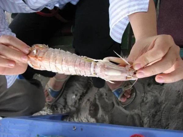 Kinh nghiệm vui chơi ở khu du lịch Dốc Lết Khu du lịch Dốc Lết