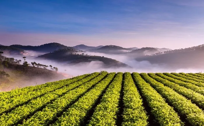 Mờ ảo 3 xứ sở sương mù có thật tại Việt Nam