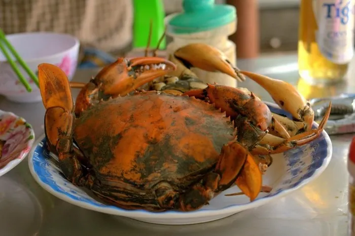 Một ngày về thăm mảnh đất Bạc Liêu đờn ca tài tử