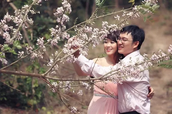 Mùa hoa đỗ mai trên những nẻo đường phố Vũng Tàu