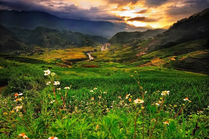 Mùa xuân Sapa lung linh như một bức tranh thơ Kỳ 1