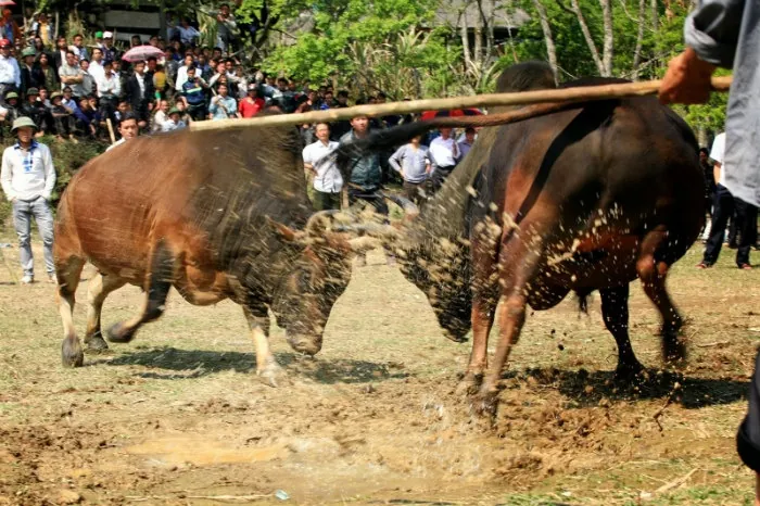 Mường Lống - Điểm phượt mới ở đất Nghệ An Mường Lống Điểm phượt mới ở đất Nghệ An