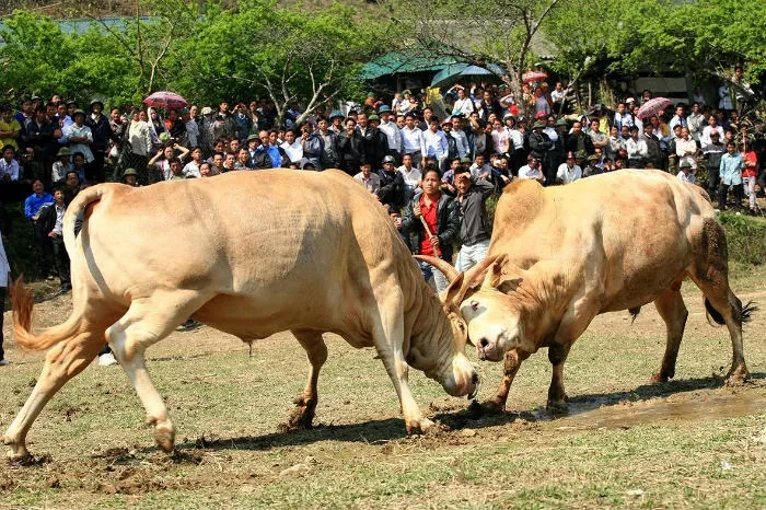 Mường Lống - Điểm phượt mới ở đất Nghệ An Mường Lống Điểm phượt mới ở đất Nghệ An