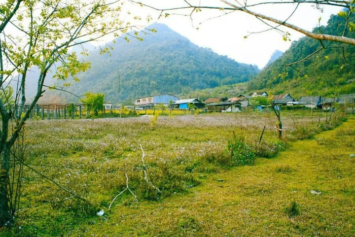 Mường Lống - Điểm phượt mới ở đất Nghệ An Mường Lống Điểm phượt mới ở đất Nghệ An