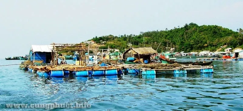 Nam Du - Nàng tiên cá ẩn mình giữa lòng đại dương xanh thẳm Nam Du Nàng tiên cá ẩn mình giữa lòng đại dương xanh thẳm