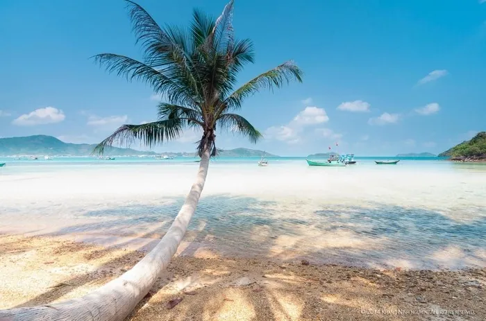 Nam Du - Nàng tiên cá ẩn mình giữa lòng đại dương xanh thẳm Nam Du Nàng tiên cá ẩn mình giữa lòng đại dương xanh thẳm