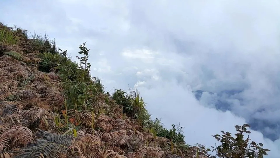 Ngắm biển mây trên nóc nhà Y Tý