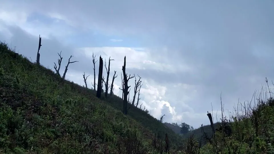 Ngắm biển mây trên nóc nhà Y Tý