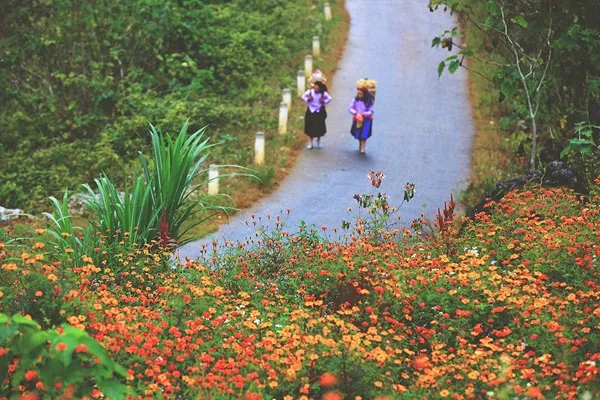 Những chuyến đi trong nước bạn nên thực hiện trước tuổi 30 Những chuyến đi trong nước bạn nên thực hiện trước tuổi 30