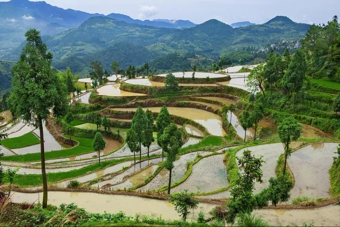 Nước đổ và em thơ, ngẩn ngơ dạ khúc tháng 5 ở SaPa
