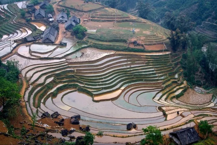 Nước đổ và em thơ, ngẩn ngơ dạ khúc tháng 5 ở SaPa