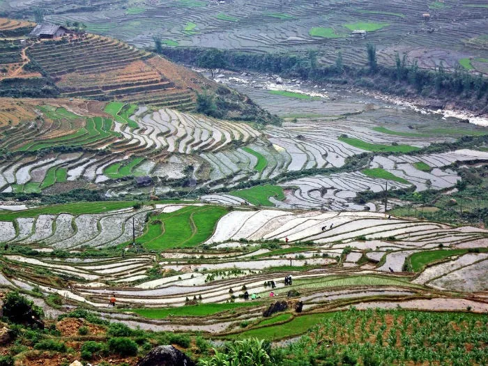 Nước đổ và em thơ, ngẩn ngơ dạ khúc tháng 5 ở SaPa