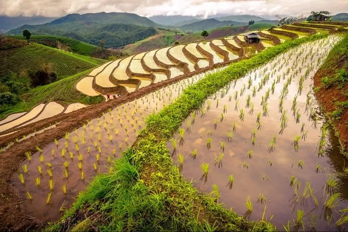 Nước đổ và em thơ, ngẩn ngơ dạ khúc tháng 5 ở SaPa