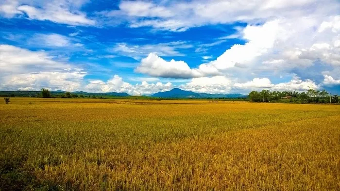 Thác Pa Sỹ - Tuyệt cảnh giữa đại ngàn tây nguyên hùng vĩ Thác Pa Sỹ Tuyệt cảnh giữa đại ngàn tây nguyên hùng vĩ