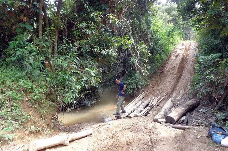 Trekking Tà Năng - Phan Dũng - Bước đến thiên đường Trekking Tà Năng Phan Dũng Bước đến thiên đường