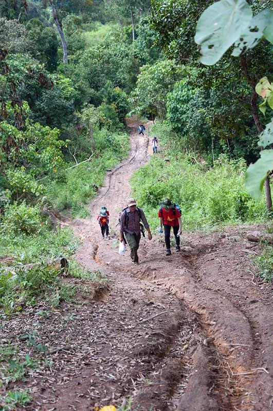 Trekking Tà Năng - Phan Dũng - Bước đến thiên đường Trekking Tà Năng Phan Dũng Bước đến thiên đường