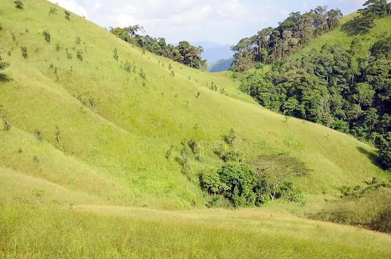 Trekking Tà Năng - Phan Dũng - Bước đến thiên đường Trekking Tà Năng Phan Dũng Bước đến thiên đường