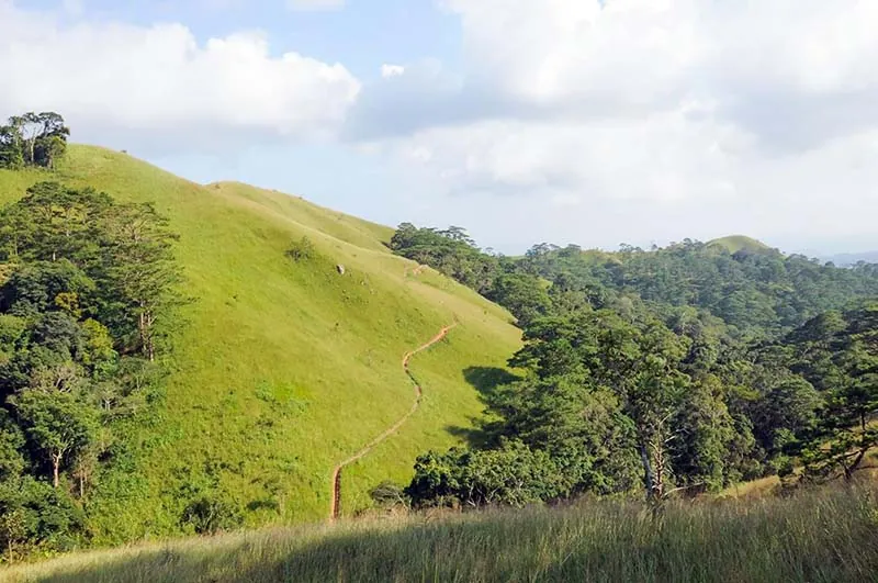 Trekking Tà Năng - Phan Dũng - Bước đến thiên đường Trekking Tà Năng Phan Dũng Bước đến thiên đường
