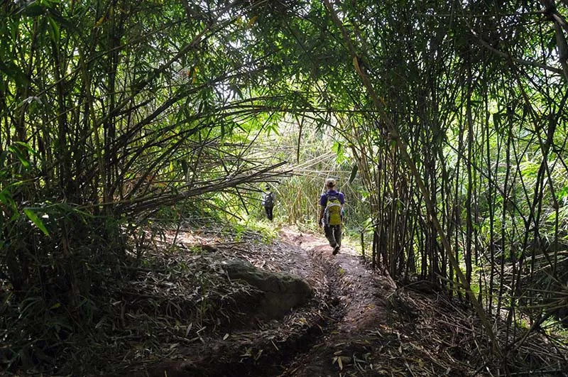 Trekking Tà Năng - Phan Dũng - Bước đến thiên đường Trekking Tà Năng Phan Dũng Bước đến thiên đường